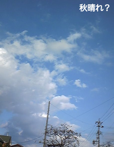 DVC00054.jpg